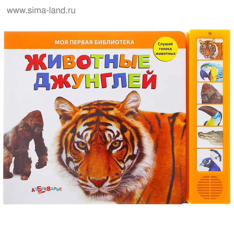 Книга музыкальная «Животные джунглей», 12 страниц