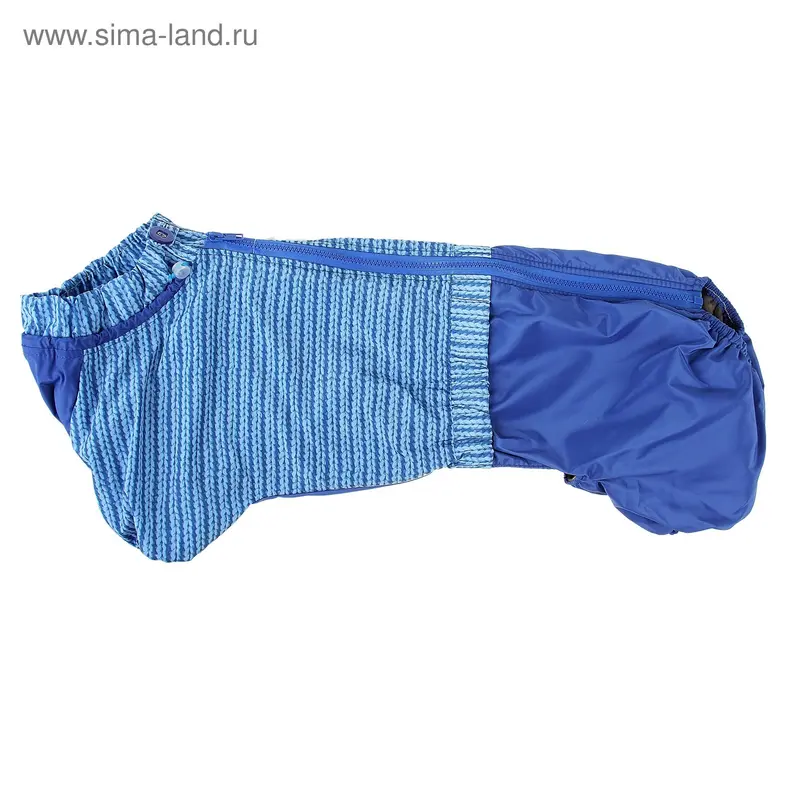 Комбинезон для таксы (мальчик)