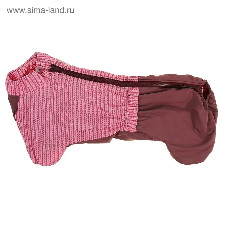 Комбинезон для таксы (девочка)