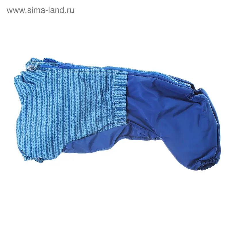 Комбинезон для карликовой таксы (мальчик)
