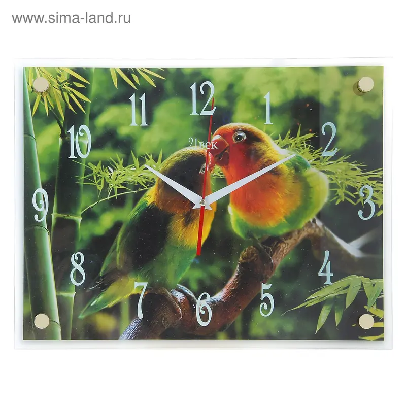 Часы настенные, серия: Животный мир, "Попугаи", 30х40 см