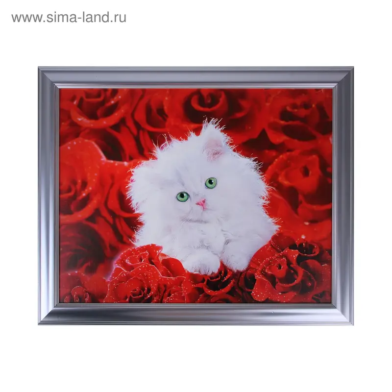 Картина Котенок 40*50 см