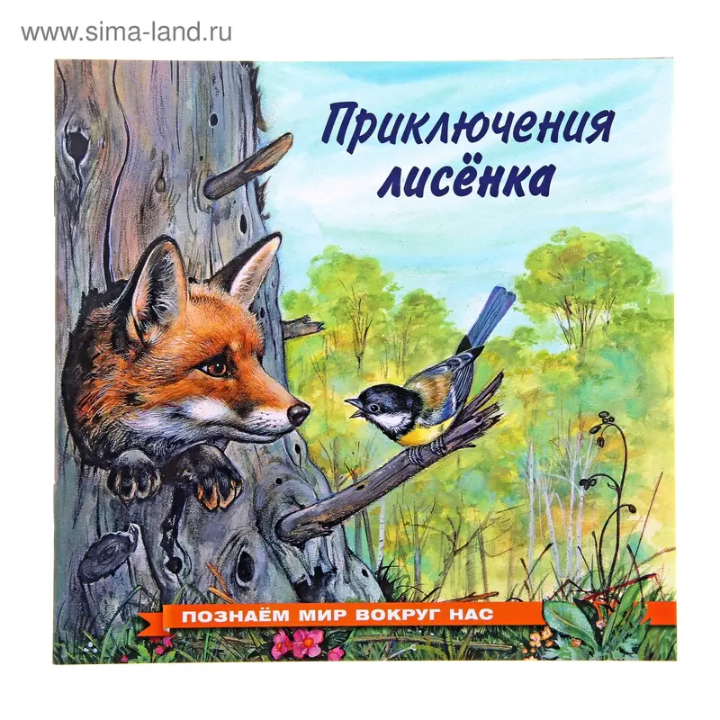 «Приключения лисёнка», Гурина И. В
