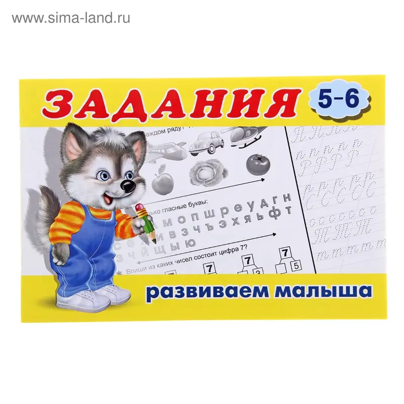 Раскраска с заданиями «Развиваем малыша»: для детей 5-6 лет