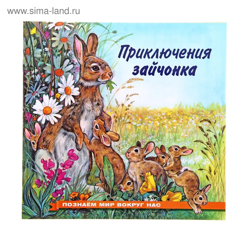 «Приключения зайчонка», Гурина И. В
