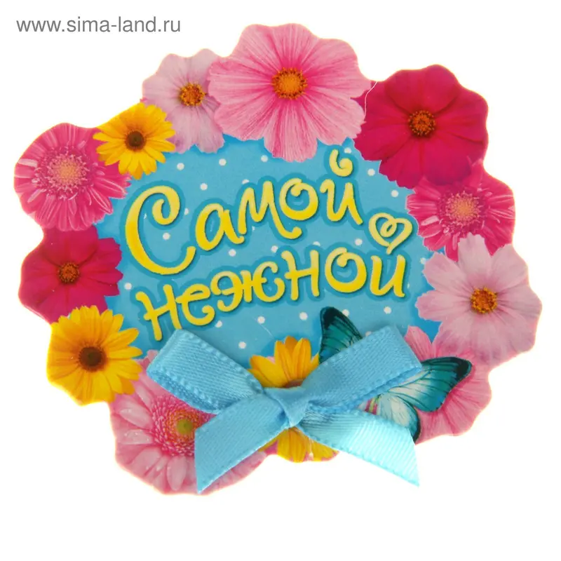 Декор на прищепке "Самой нежной" (набор 6 шт)