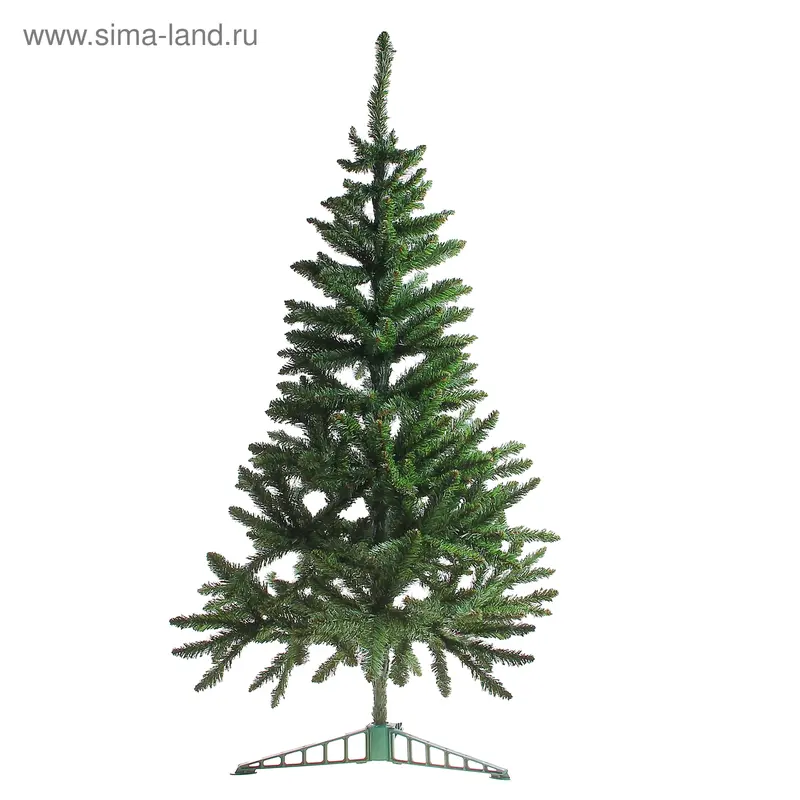 елка европейская 180 см