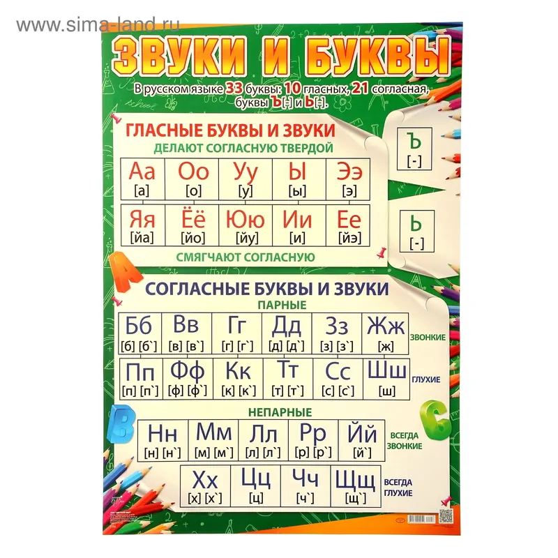 Плакат "Звуки и буквы" А2