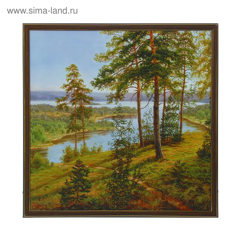 Картина "Солнечный лес" 54*54см