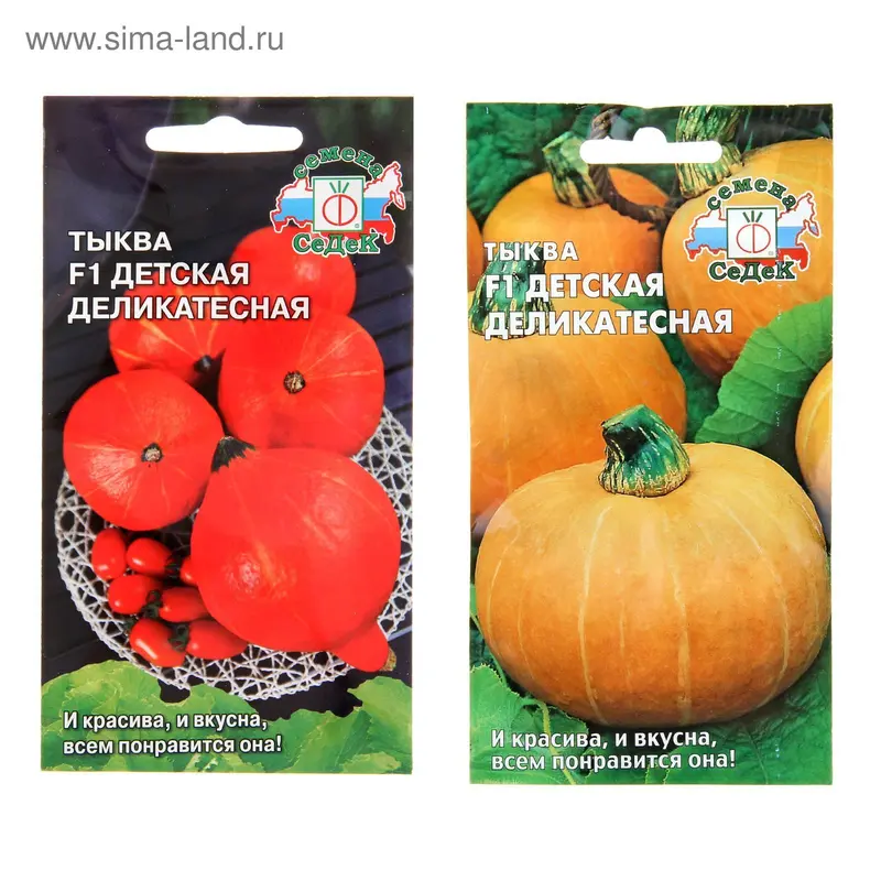 Семена Тыква Детская деликатесная F1, 1 г