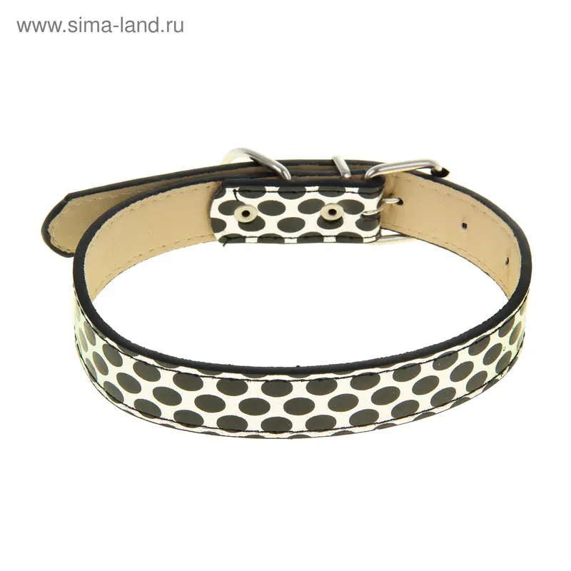 Ошейник "Пятнашки" 52 х 2,5 см, искусственная кожа, черный