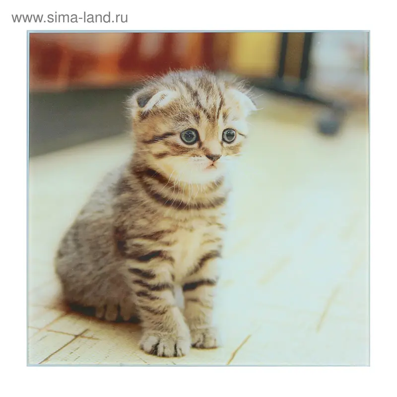 Картина на стекле "Котёнок" 30*30см