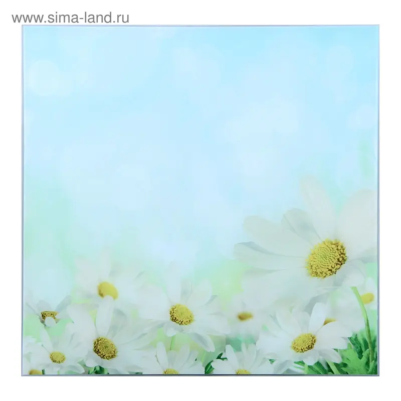 Картина на стекле "Ромашки" 50*50см