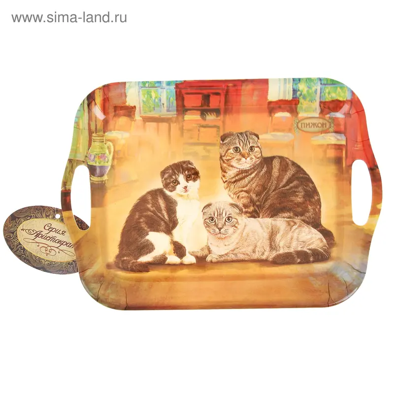 Поднос, серия "Шотландская кошка", 35 х 25 см