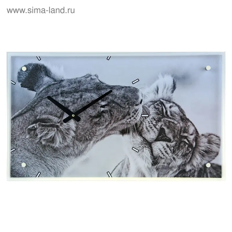 Часы настенные прямоугольные "Львицы", 35х60 см