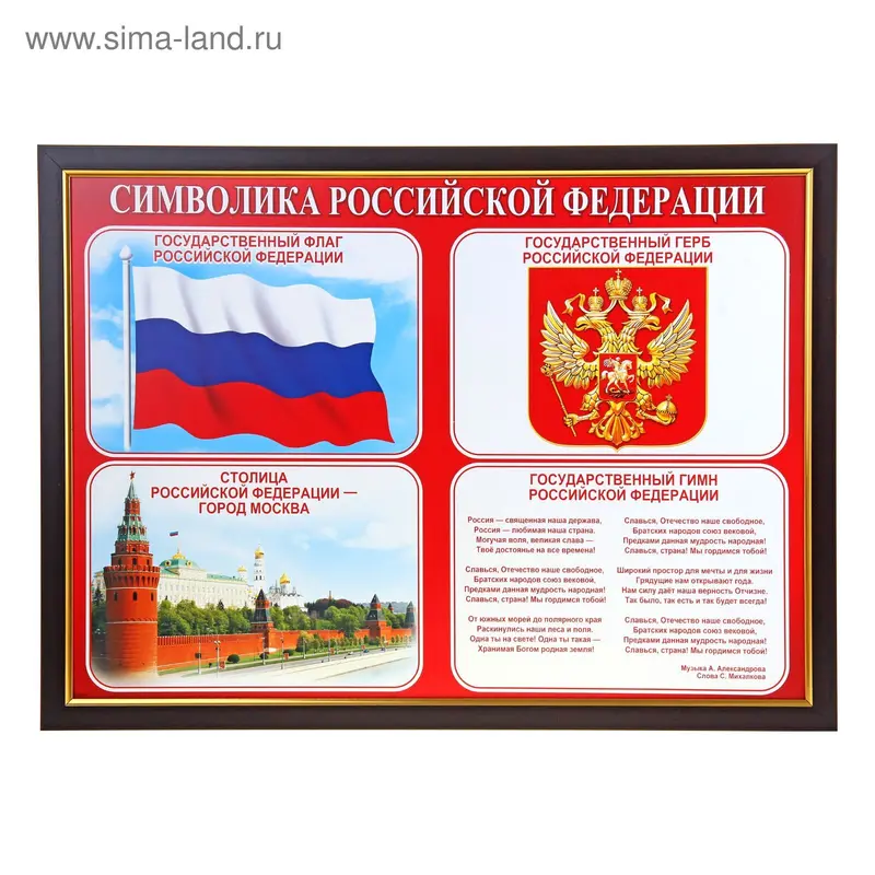 Картина "Символика РФ" 69х49 см коричневая рама