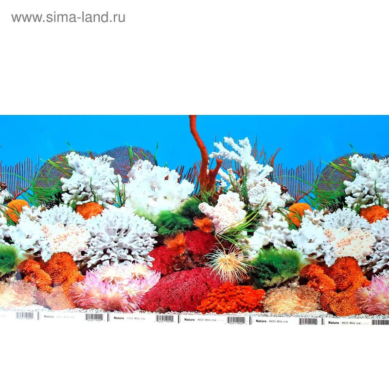 Фон для аквариума 30см*15м Кораллы/Морское дно коряга 9029-9059