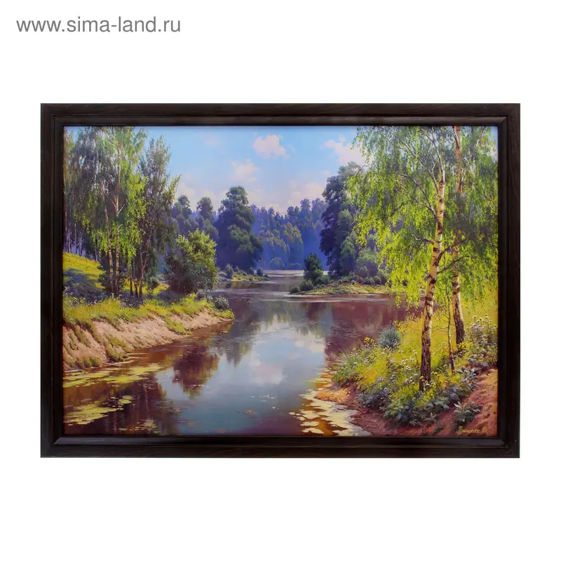 Картина Березы у воды 50*70 см, №35-1045 Венге