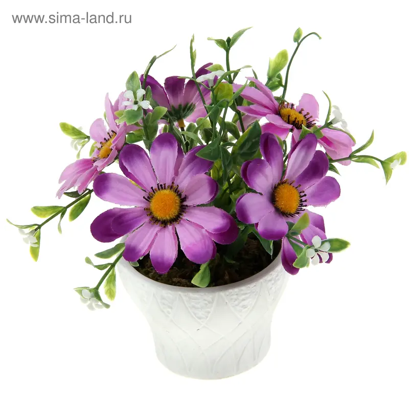 композиция в горшке талия 20*12 см герберы