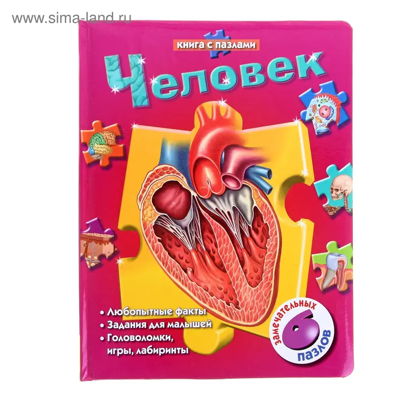 Книга с пазлами "Человек"
