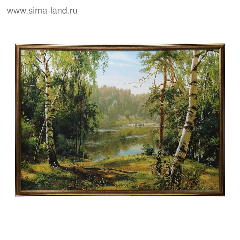 Картина Лесное озеро 603 53х73 см
