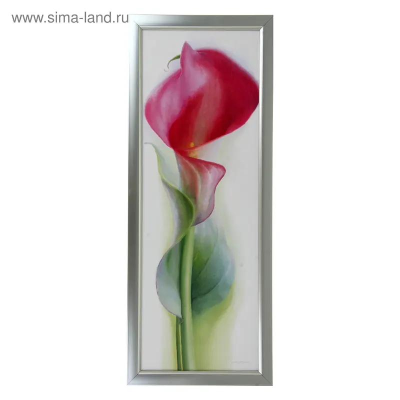 Картина Каллы 486 70х25 см