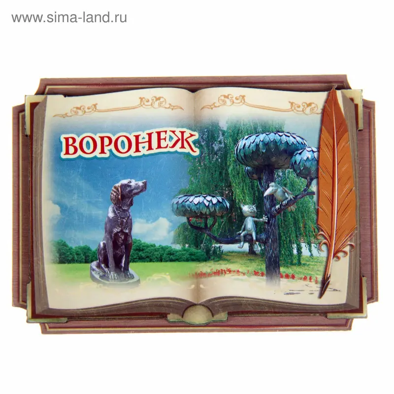 Магнит в форме книги «Воронеж»