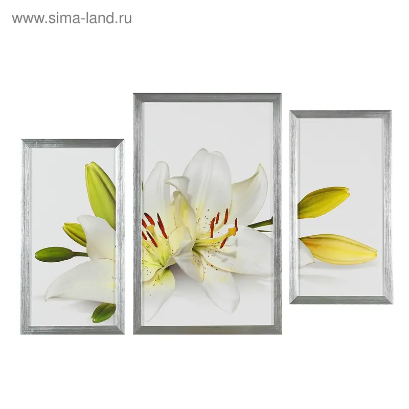Картина модульная в раме "Каллы" 2-43х23, 1-53х32 см, 53х78 см