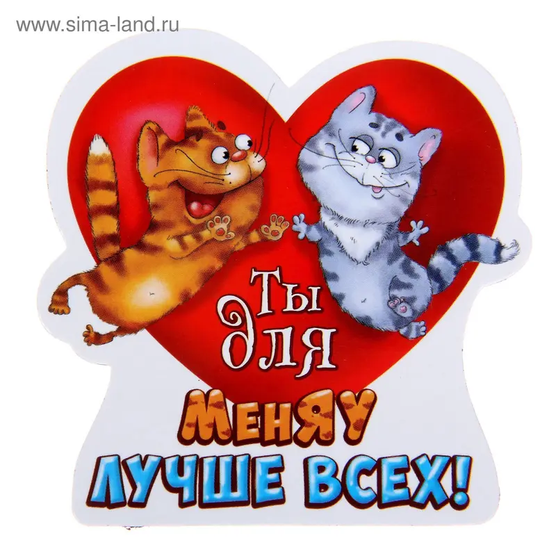 Магнит полимерный "Ты для меняу лучше всех"