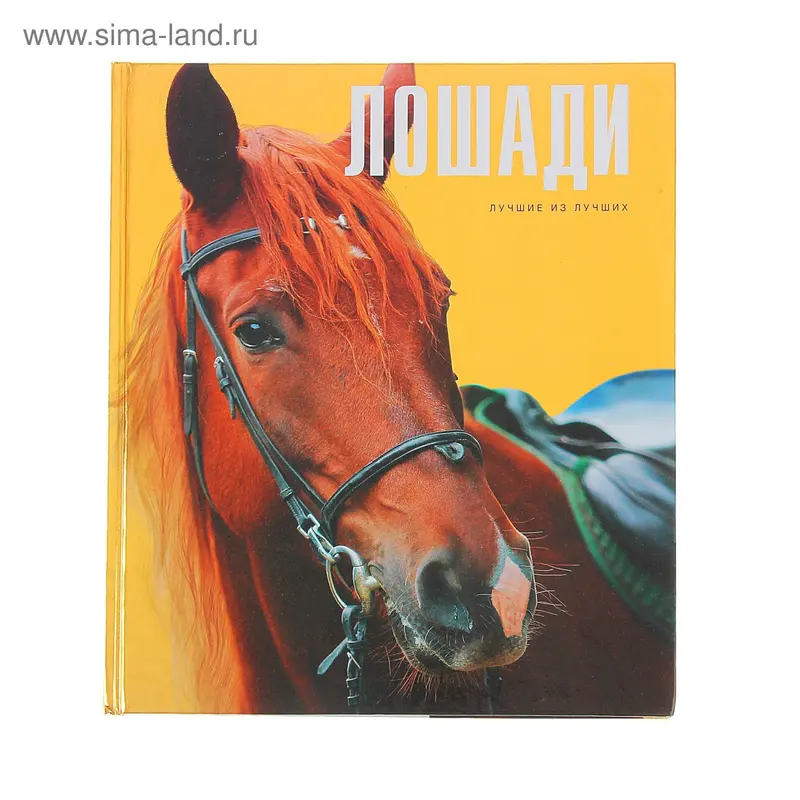 Лошади