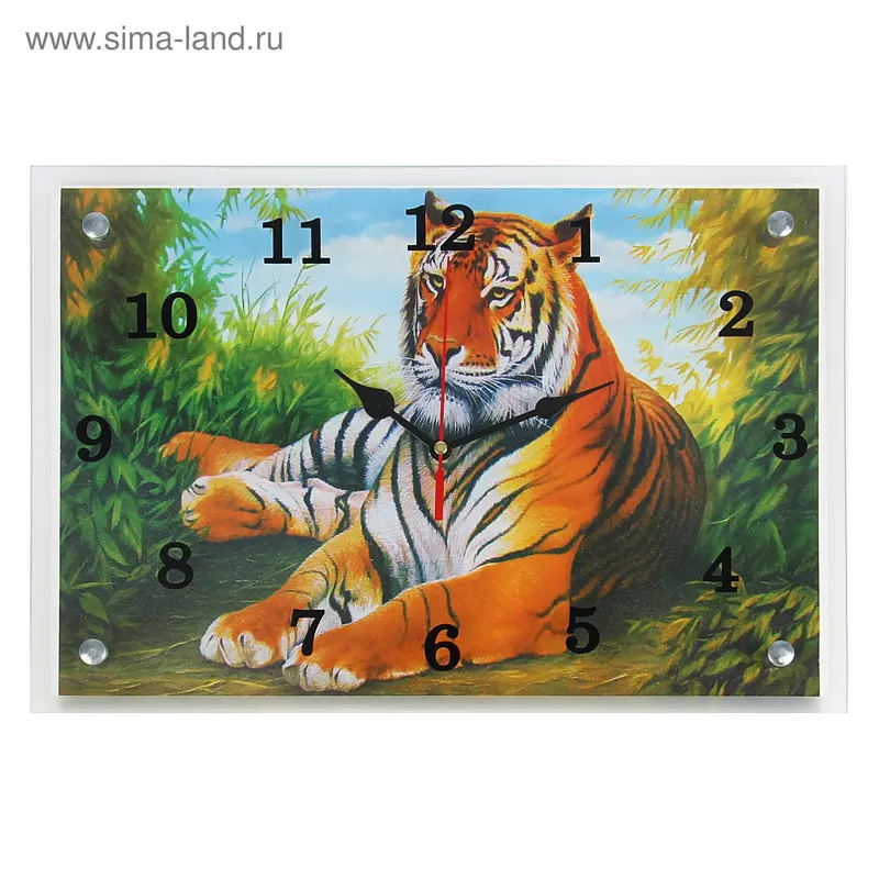 Часы настенные прямоугольные "Тигр"25х35см микс