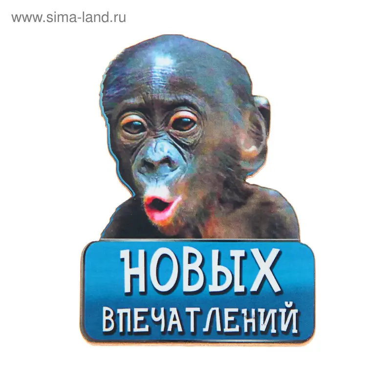 Магнит "Обезьяна новых впечатлений"