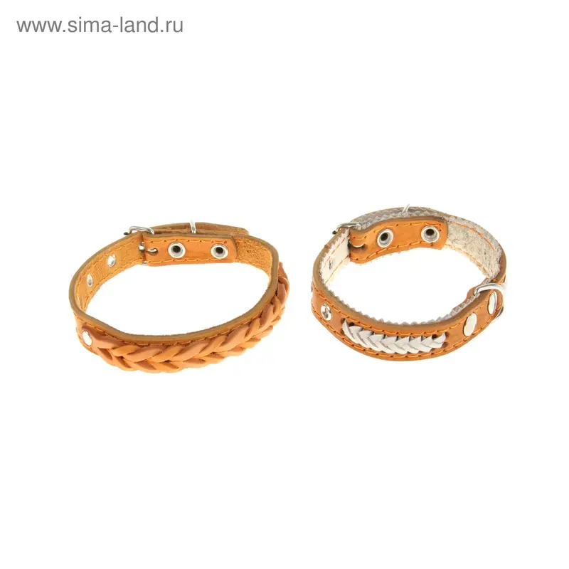 Ошейник однослойный кожаный с косичкой, 2,5х45 см