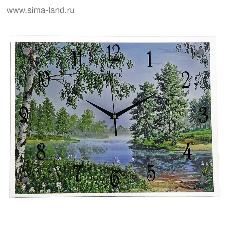 Часы настенные прямоугольные "Природа", 35х45 см