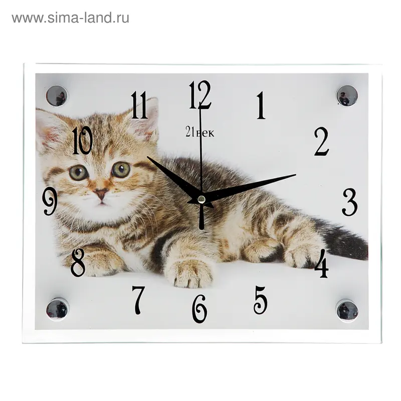 Часы настенные прямоугольные "Котята", 20х25 см