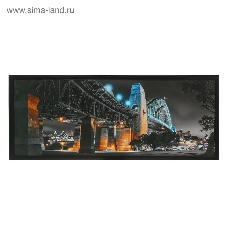 Картина Сидней 35х90 см
