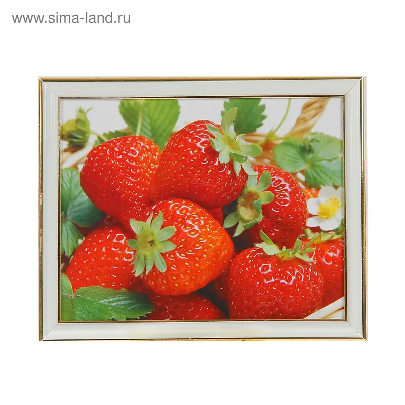 Картина Клубника 1169 20х25 см