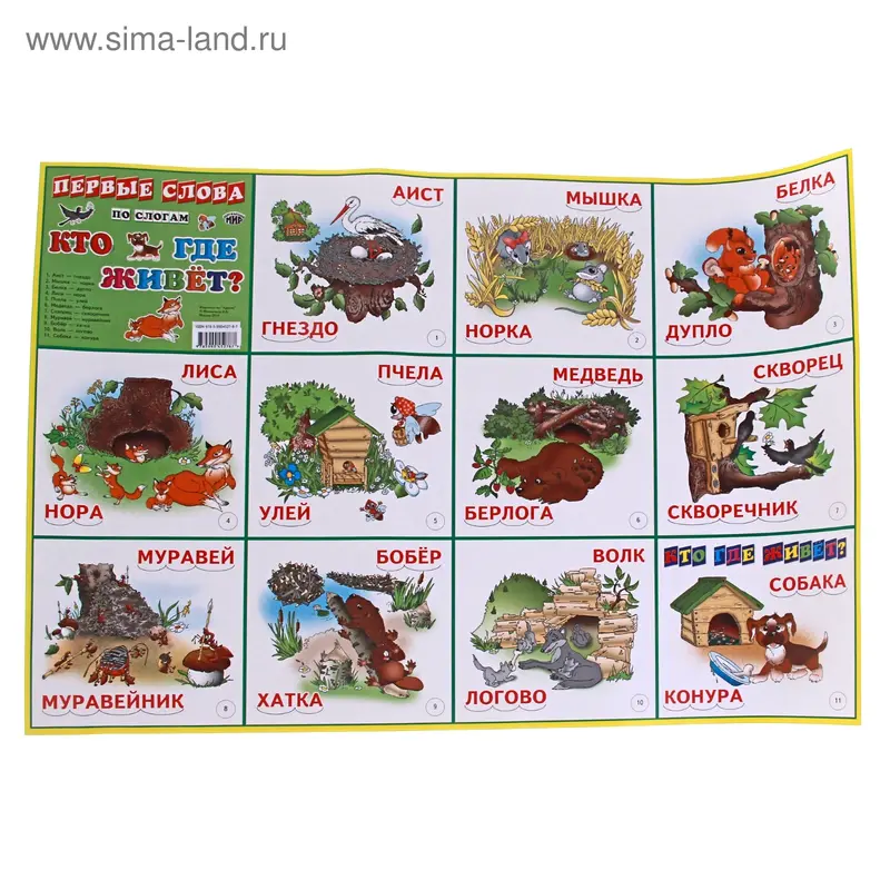 плакат Кто где живет