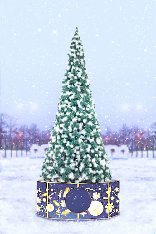 Сосна "Альпийская" 18 м с белыми кончиками