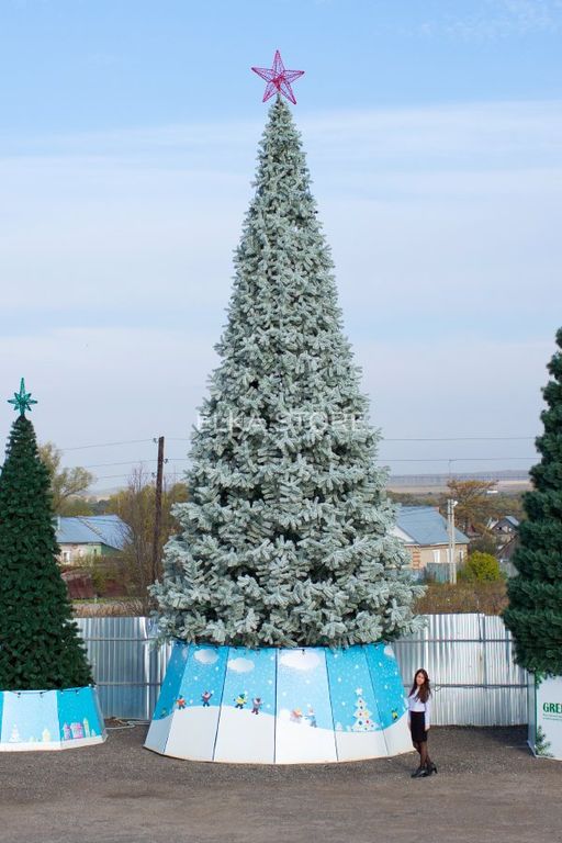 Ель ствольная 10 м "Альпийская" изумрудная